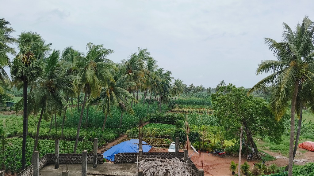 Farm View