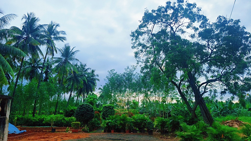 Sri Lalitamba Nursery Farm