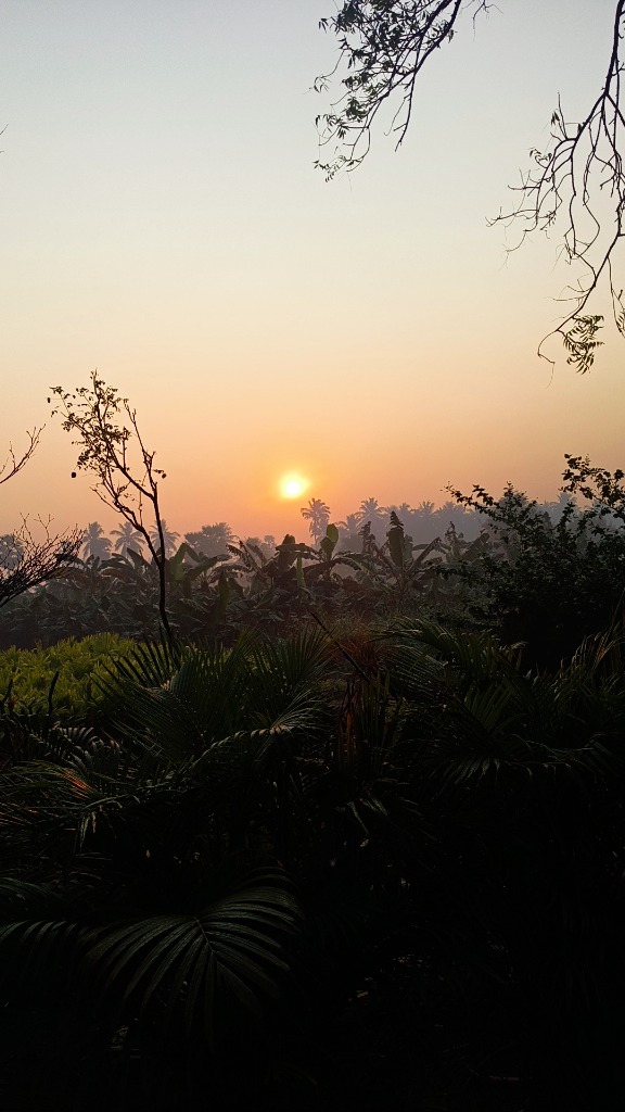 Sunrise at the Farm